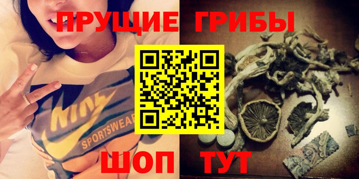 Псилоцибиновые грибы прущие грибы  Вход с VPN  Железноводск 